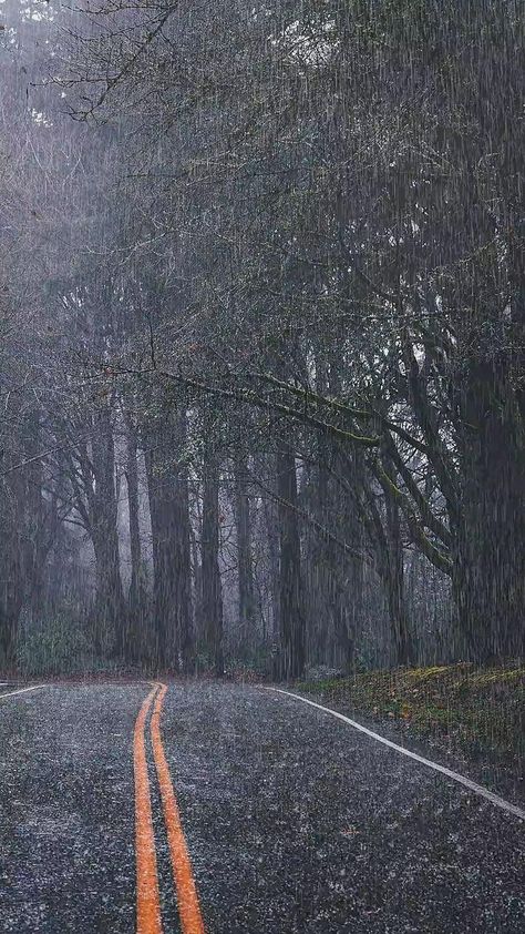 Dark Forest Aesthetic, Smell Of Rain, Rainy Day Aesthetic, I Love Rain, Dark Nature Aesthetic, Clipuri Video, Beautiful Locations Nature, Aesthetic Photography Nature, Cool Pictures Of Nature