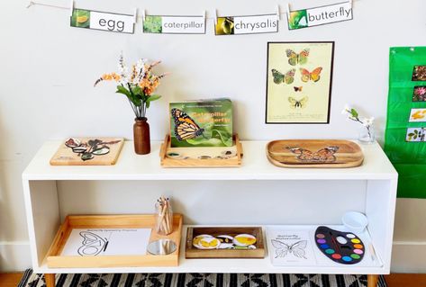 Montessori Basics Principle 5 - How to Present Shelf Work - Inspired Montessori Learning Montessori Shelf Work, Montessori Classroom Decor, Montessori Shelf Ideas, Playroom Montessori, Classroom Shelves, Craft Shelves, Montessori Activities Preschool, Montessori Shelf, Shelf Inspiration