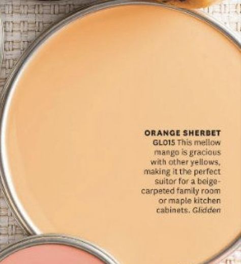 Orange Shiplap Wall, Light Orange Kitchen Walls, Light Orange Paint Walls, Creamsicle Paint Color, Light Orange House Exterior, Tangerine Paint Color, Pale Orange Paint Colors, Light Orange Wall Paint, Pale Orange Walls