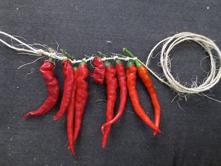 Cayenne Garland? Cayenne Pepper Plant, Chili Peppers Decor, Hot Pepper Recipes, Dried Chili Peppers, Spice Garden, Dried Chillies, Dried Peppers, Dried Vegetables, Cottage Garden Plants