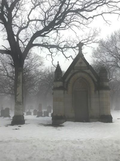 White Goth Aesthetic, Beauty In Darkness, Winter Goth, Gothic Stuff, White Goth, Macabre Art, Southern Gothic, Gothic Aesthetic, Goth Aesthetic