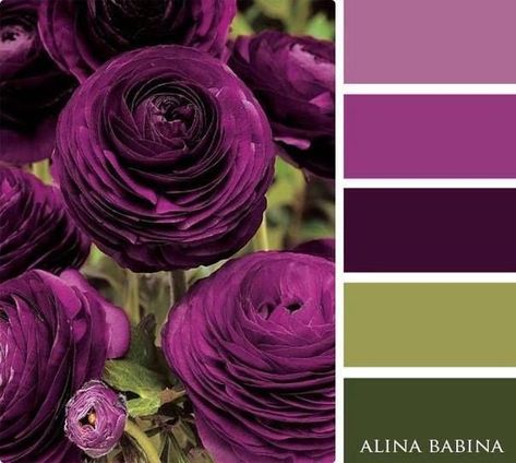 Eggplant and chartreuse color Violet Room, Reference Board, Palette Design, Color Palate, Design Seeds, Colour Board, Purple And Green, Colour Schemes, Color Swatches