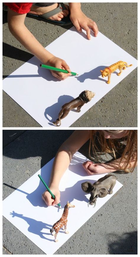 Trace toy animal shadows. Animal Shadow, Shadow Drawing, Owl Pet, Animal Activities, Door Ideas, Drawing Challenge, Safari Animals, Anchor Charts, Art Activities