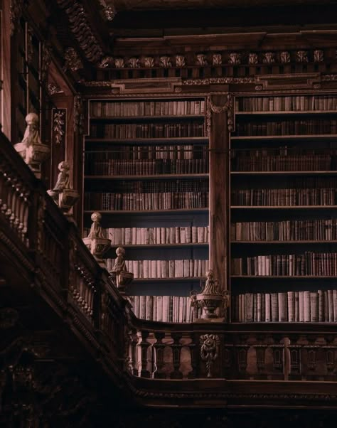 Belle Aesthetic, متحف فني, Era Victoria, Dark Academia Wallpaper, Aesthetic Dark Academia, Castle Aesthetic, Old Library, Library Aesthetic, Royal Aesthetic