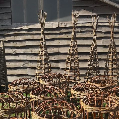 Angela Cole  Basketmaker on Instagram: "Plant Supports. Hazel and willow. 
I scaled down the grow throughs from huge to large, tweaked the design and altered the materials a bit. 
Loved getting into the batch making rhythm for Mrs M’s order. 
.
#weaving #design #privategardens #plantingtime #herbaceousborder #plantsthatflop #gardendesign #growyourown #woodland #coppice #yorkshiremaker #seasonalwork #sustainablepractice #ecologicalgardening #tradition #heritagecraft #basketmakersassociation #homesandgardens #bluepatch" Growing Willow For Weaving, Seasonal Work, Herbaceous Border, Heritage Crafts, Plant Supports, Sustainable Practices, Kitchen Garden, Grow Your Own, Ecology