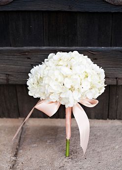 Love the simplicity of a single Hydrangea bloom. The simple shoelace bow is "just" enough for pretty design. Cheap Wedding Bouquets, Hydrangea Bouquet Wedding, Hydrangea Bloom, Cheap Wedding Flowers, Hydrangea Bouquet, Hydrangeas Wedding, Deco Floral, Bridesmaid Flowers, Single Flower