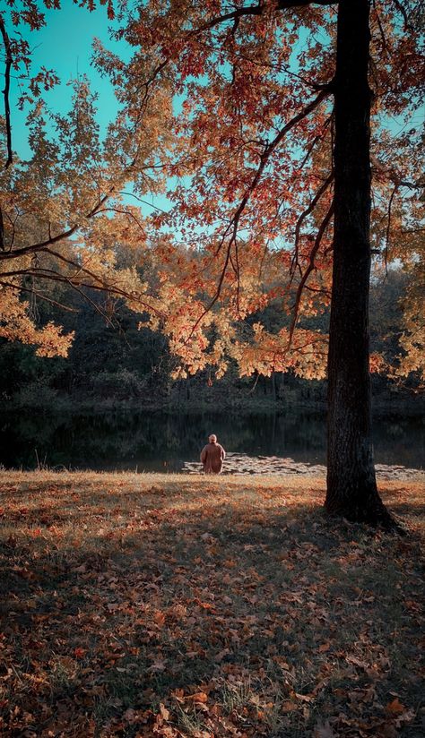 Seclusion Aesthetic, Beaver Full Moon, Yoga Autumn, Autumn Yoga, Arts Video, Meditation Nature, Creative Visualization, Outdoor Yoga, Fall Outdoor