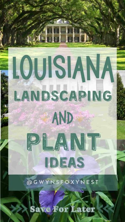 Ideas for Louisiana Landscaping and plant types Louisiana Landscaping Front Yard, Louisiana Landscaping, Louisiana Landscape, Natural Landscaping, Native Plant Gardening, Cypress Trees, Diy Landscaping, Lush Greenery, Landscape Ideas