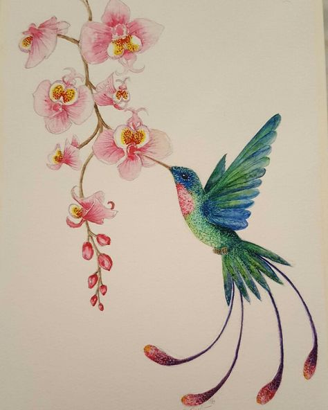 Hummingbird Tattoo With Orchids, Hummingbird And Orchid Tattoo, Cute Hummingbird Drawing, Hummingbird Watercolour, Easy Plastic Canvas Patterns, Hummingbird Drawing, Painting On Canvas For Beginners, Flower Painting On Canvas, Watercolor Dragonfly