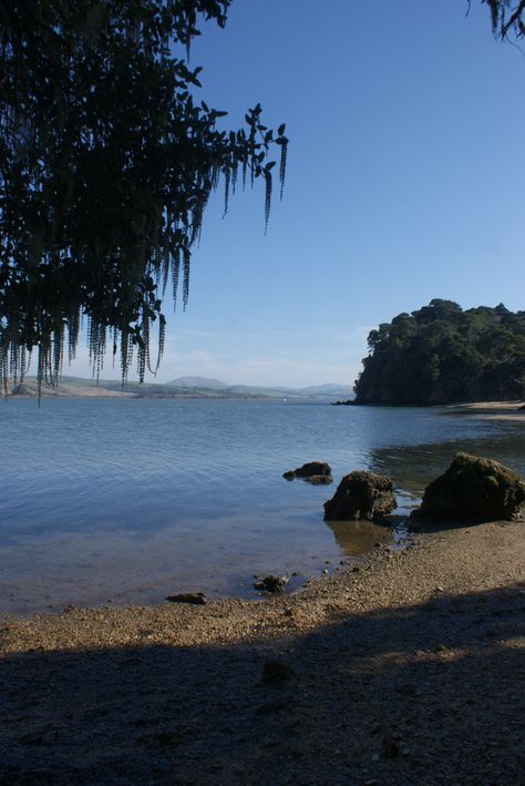 Shell Beach in Inverness, California Inverness California, Shell Beach California, Pirates Cove California, Northern California Beaches, Tomales Bay, Oregon Coast Surfing, Oregon Cannon Beach, Point Reyes National Seashore, Bodega Bay