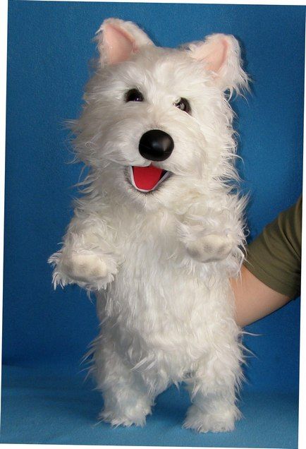 Wesly the Dog puppet, Puppet for sale Dog Hand Puppet, People Puppets, Dog Puppet, Ventriloquist Puppets, Bird Puppet, Animal Puppets, Kangaroo Art, Professional Puppets, Custom Puppets