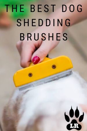 The Best Dog Brushes For Shedding | Labrottie.com Dog Brush For Shedding, Dog Brushes, Fluffy Dog Breeds, Mixed Dog Breeds, Working Dogs Breeds, Puppy School, Dog Brush, Dog Shedding, Best Brushes