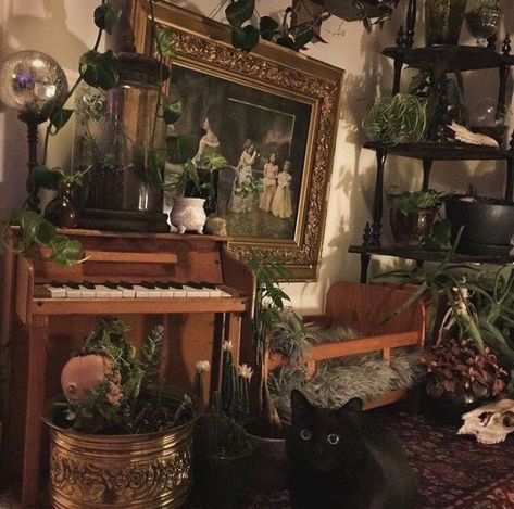 Witchy Apartment, Dark Academia Room, Academia Room, Lots Of Plants, Witch Room, Hal Decor, Aesthetic Rooms, Dreamy Room, Dream Room Inspiration