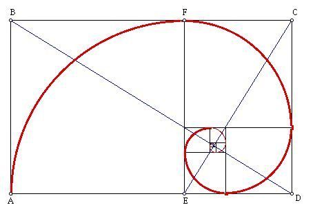 The Golden Mean/The Golden Ratio... Proportion Art, Golden Proportion, Fibonacci Tattoo, The Golden Mean, Divine Proportion, Golden Spiral, Fibonacci Spiral, Foto Tips, Composition Photography