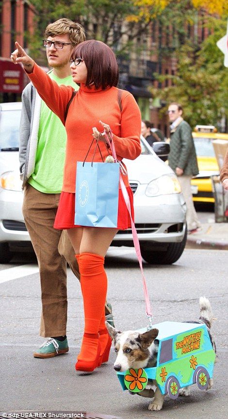 Scooby Doo Disfraz, Best Dog Halloween Costumes, Puppy Halloween Costumes, Best Dog Costumes, Anime Festival, Cat Costume Diy, Matching Halloween Costumes, Cute Couple Halloween Costumes, Hallowen Costume