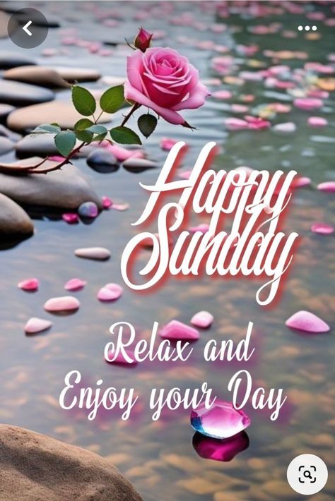 Good Sunday Morning Gif, Sunday Greetings Good Morning, Happy Sunday Images Beautiful, Sunday Good Morning Images, Good Morning Sunday Blessings, Blessings Sunday, Happy Sunday Good Morning, Happy Sunday Pictures, Sunday Morning Images