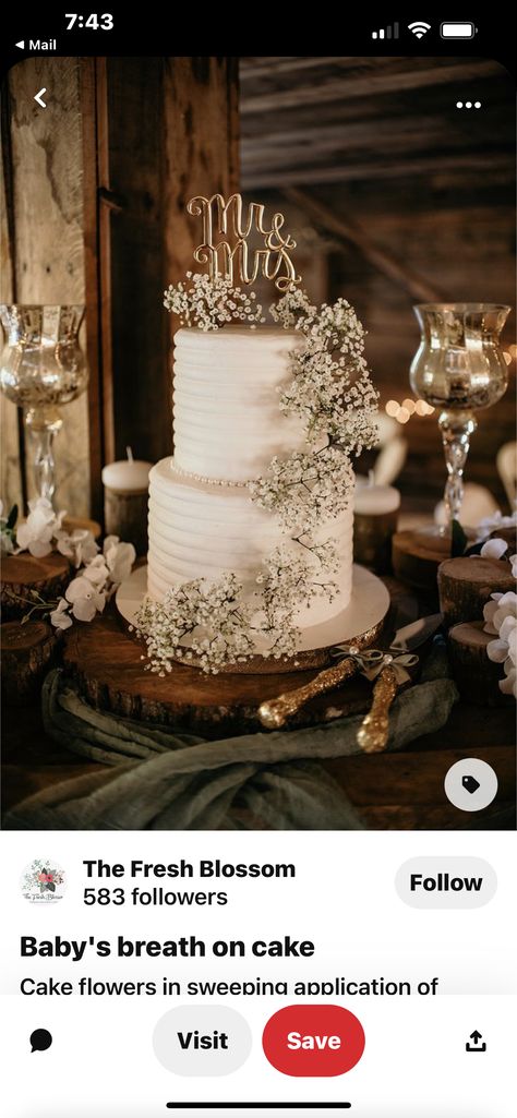 Wedding Cake With Baby Breath Flowers, Wedding Cake With Babysbreath, Wedding Cake Neutral Colors, Cake With Baby Breath Flowers, Bare Cake Wedding, Wedding Cake With Baby Breath, Wedding Cake Baby Breath, Baby’s Breath Cake, Wedding Cake Neutral