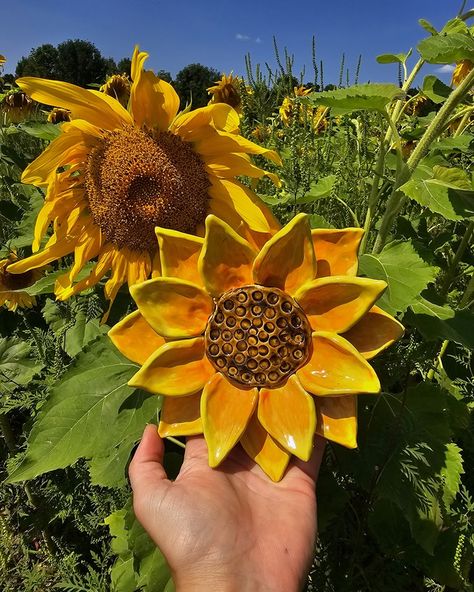 Sunflower for your yard!!! These will be mounted on a metal stick to add to your garden! ;) See you tonight at 7pm est! Clay Sunflowers, Clay Sunflower Tutorial, Clay Sunflower, Air Dry Clay Sunflower, Sunflower Ceramic, Painted Ceramic Sunflowers, Sunflower Ceramic Bowl, Clay Projects, Sunflower