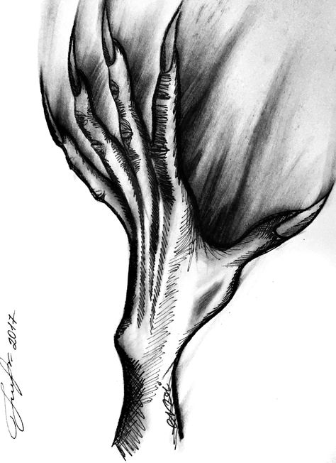 Creepy Hand Reaching Out, Hand Witch Drawing, Hand With Claws Drawing, Demon Hands Tattoo, Demon Ink Drawing, Demon Claws Drawing Reference, Demon Hand Drawing, Monster Hand Drawing, Evil Hands Drawing