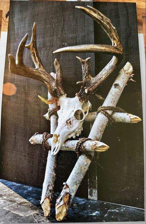 Man Cave Deer Mounts, Antler Hanging Ideas, Pack Out Deer Mount, Deer Wall Mount Ideas, Diy European Deer Mount, Euro Mount Ideas, European Skull Mount Ideas, Whitetail Mounts, European Deer Mount Ideas