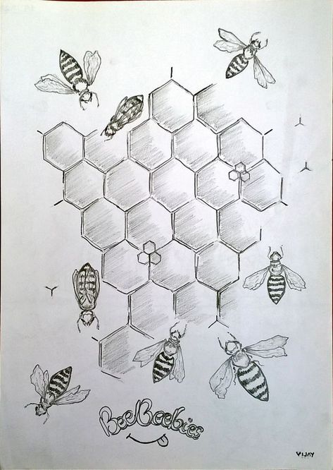 Bee And Honey Comb Drawing, Honey Bee Drawing Honeycombs, Honey Comb And Bees Tattoo, Beehive Drawing Illustrations, Bee Hive Drawings, How To Draw Honeycomb, Honey Combs Drawing, Beehive Sketch, Honey Comb Tattoo Designs