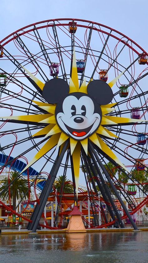 Mickey's Fun Wheel Mickey Mouse Ferris Wheel, Mickey Ferris Wheel, Disneyland Ferris Wheel, Disneyland Room, Ferris Wheel Pictures, Coaster Aesthetic, Wheel Tattoo, Diy Disney, Mouse Party