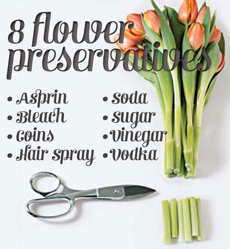 Make Flowers Last Longer, Flowers Last Longer, Penny 1, Make Flowers, Cut Flower Garden, Flower Arrangements Diy, Fresh Cut Flowers, Diy Bouquet, Mason Jar Crafts