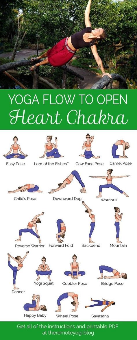 Expand your chest and open your heart chakra with this printable yoga flow PDF and fill yourself up with compassion and love. #heartchakra #yogapdf #heartchakrayoga #yogasequence Yoga Flow Sequence, The Heart Chakra, Poses For Beginners, Estilo Fitness, Yoga Beginners, Easy Yoga Poses, Yoga Posen, Bikram Yoga, Chakra Yoga