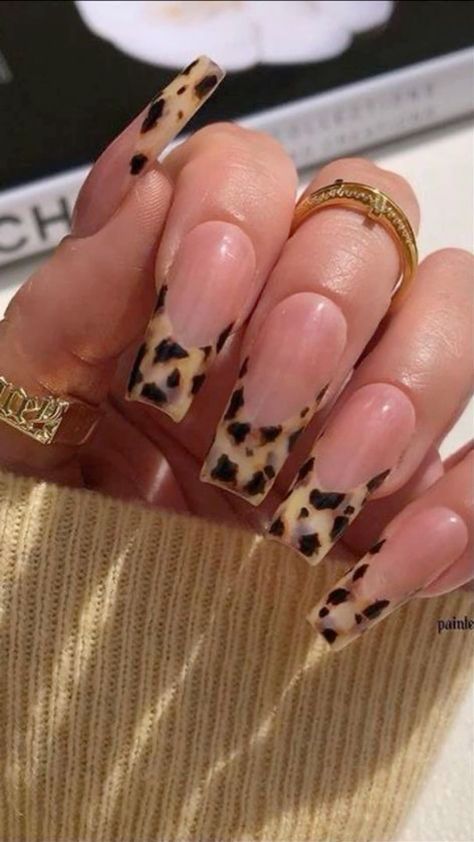 Crazy Nails Ideas, Nail Photoshoot Ideas, Nail Photoshoot, Leo Nails, Cheetah Nails, New Nail Designs, Simple Acrylic Nails, Classy Acrylic Nails, Crazy Nails