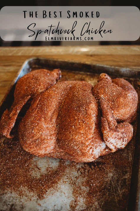 This smoked spatchcock chicken will be a new family favorite. By removing the backbone, this method cooks the chicken faster, and gives the skin a crispy texture. Smoked Spatchcock Chicken, Cooking Outside, Chicken Rub, Spatchcock Chicken, Homemade Spice Blends, Chicken Little, Being Outside, Homemade Spices, Chicken Dish