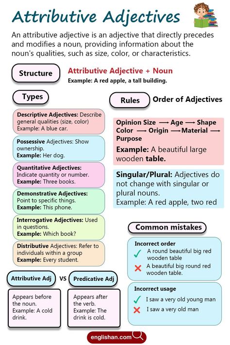 Attributive Adjectives in English Predicate Adjectives, Adjectives In English, Order Of Adjectives, Possessive Adjectives, English Adjectives, Nouns And Adjectives, Singular And Plural, Plural Nouns, Learn English Grammar