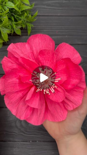 Origami Studio DIY 💥 Paper Craft Tutorials on Instagram: "How to Make Crepe Paper Flowers Crepe Paper Decoration #diycrafts #papercraft #crepepapercraft #crepepaperflower #tutorial #diy #fyp #fypシ" Making Large Paper Flowers, Diy Crepe Paper Flowers Tutorials, Crepepaperflower Diy, Large Crepe Paper Flowers Diy, How To Make Crepe Paper Flowers, How To Make Flowers With Paper, Crepe Flowers Diy, How To Make Flowers Out Of Paper, How To Make Flowers