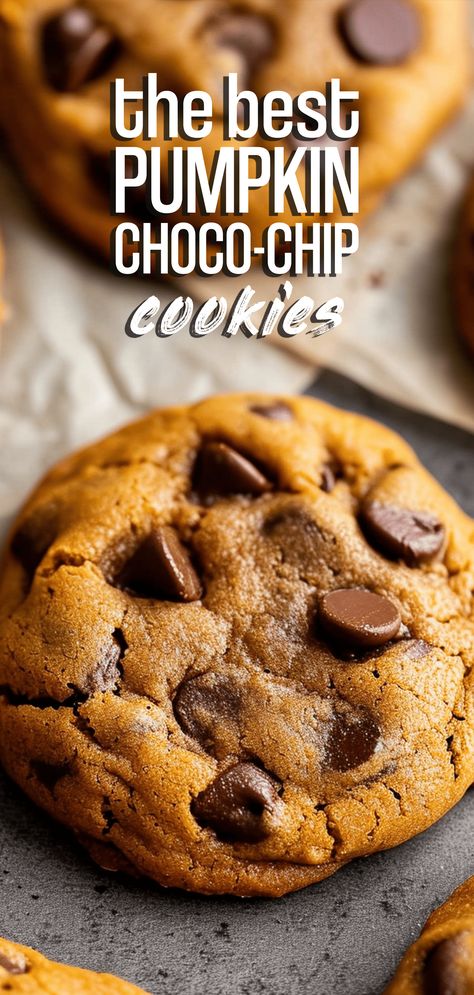 Pumpkin Chocolate Chip Cookies [25 Minutes] – Chasety Pumpkin Chocolate Chip Cookies Soft Batch, Best Soft Pumpkin Chocolate Chip Cookies, Pumpkin Chocolate Cookies Recipes, Chocolate Chip Cookies Pumpkin, Pumpkin Chocolate Chip Cookies Soft, Mini Pumpkin Chocolate Chip Cookies, Chocolate Chips Pumpkin Cookies, Easy Chocolate Chip Pumpkin Cookies, Chocolate Chip And Pumpkin Cookies