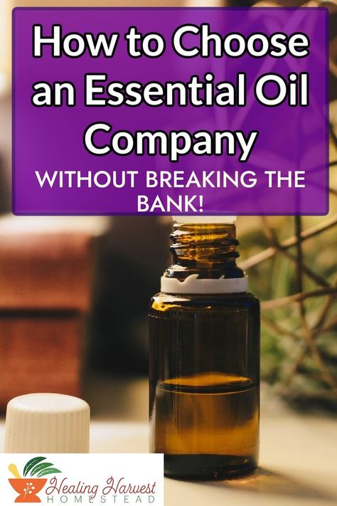 I believe everyone should be able to purchase quality essential oils without feeling guilty, pressured, or breaking the bank! I have 12 criteria that I look into for each essential oil company before I purchase a bottle to ensure that I'm getting the highest quality of essential oil for the best price. I even do a drop to drop cost analysis among different brands so you can compare for yourself. #essentialoils #essentialoilcompanies #EOcostanalysis #essentialoilblends #qualityEO Benefits Of Essential Oils, Natural Cleaning Solutions, Herbal Salves, Essential Oil Companies, Healthy Herbs, Feeling Guilty, Essential Oil Storage, Herbal Tinctures, Essential Oil Blends Recipes