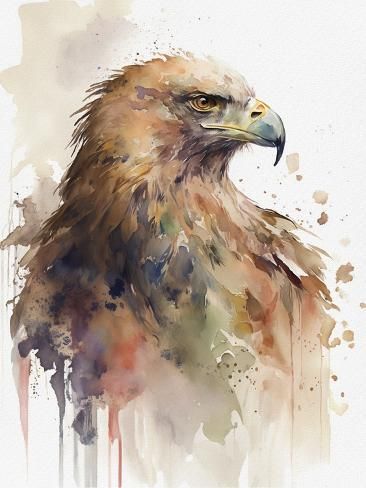 size: 12x9in Art Print: American Eagle by Lana Kristiansen : Turkey Artwork, Eagle Reference, American Eagle Art, Tarot Cards Art Illustration, Eagle Art, Tarot Cards Art, Watercolor Artists, Cards Art, Bird Pictures