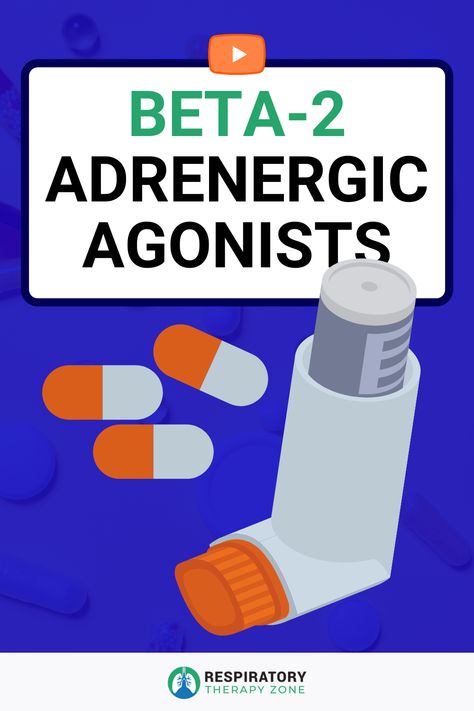 What are the Beta-2 Adrenergic (Agonist) Bronchodilators? This video provides an overview of the medications and drugs in this class. #beta2agonist #Adrenergic #bronchodilator #pharmacology Adrenergic Pharmacology, Adrenergic Agonist, Respiratory Therapy Notes, Pharmacology Nursing Study, Therapy Notes, Pharmacology Nursing, Respiratory Care, Respiratory Therapy, Respiratory Health