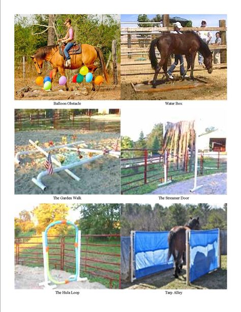 Obstacles for horse training. Great ideas for clicker training and horse agility, or just to desensitize your horse to things you might encounter while trail riding. Pictures Of Horses, Dog Clicker Training, Horse Lessons, Course Ideas, Horse Exercises, Horse Info, Horse Games, Horse Camp, Horse Trail