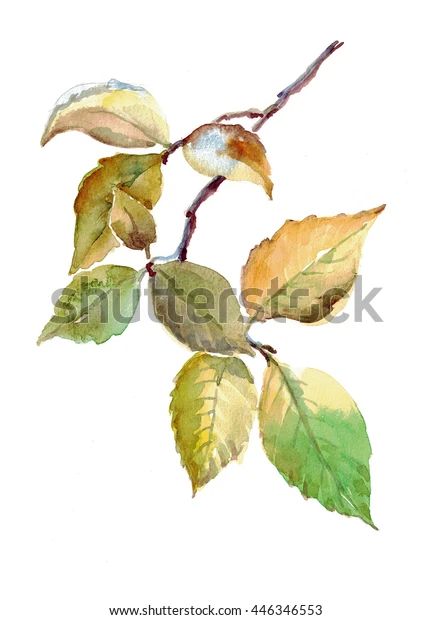 Watercolor Branch Leaves Stock Illustration 446346553 Watercolor Branches, Vine Drawing, Branch With Leaves, Gold Drawing, Branch Leaves, Birch Tree Art, Watercolor Leaf, Nature Watercolor, Flower Art Drawing