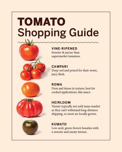 Best Tomato Sauce Recipe, Tomato Sauce Recipes, Best Tomato Sauce, Fresh Tomato Sauce Recipe, Best Tasting Tomatoes, Cooking Instagram, Tomato Salad Recipe, Homemade Recipe Books, Tomato Salad Recipes