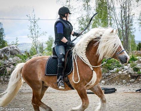 North Swedish Horse, Swedish Horse, Horse Archery, Horses Breeds, Animal Therapy, Mounted Archery, Wow Photo, Draft Horse, Therapy Animals