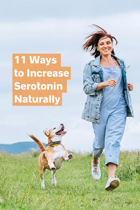 Ever wonder why a sunny day 🌞 can instantly lift your spirits? Or how a wholesome meal 🥗 make you feel happy inside? The answer lies within a tiny molecule called #serotonin… 👇 Natural Ways To Increase Serotonin, Increase Serotonin Naturally, Enteric Nervous System, Increase Serotonin, Gut Brain, Nutritional Deficiencies, Cortisol Levels, Chiropractic Care, Trouble Sleeping