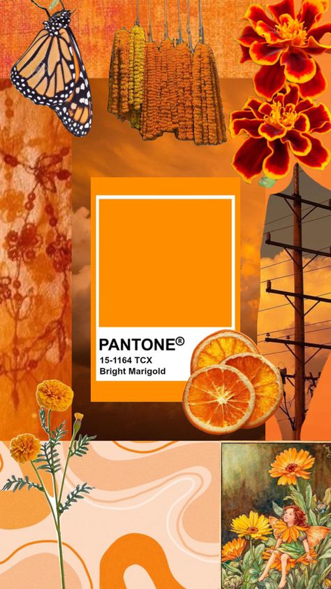 Pantone Mood Board, Creative Inspiration Board, Fashion Design Inspiration Board, Digital Collage Art, Indian Patterns, Indian Aesthetic, Mood Board Design, Fashion Inspiration Design, Indian Design