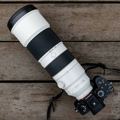 Sony also released the exciting new FE 200-600mm F5.6-6.3 G OSS telephoto zoom lens yesterday.  Priced at $2000 Telephoto Zoom Lens, Sony Camera, Zoom Lens, Blog Photography, Cameras, Photography, On Instagram, Instagram