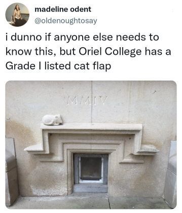 Cat doors are way cuter than people doors. #catflap #history #building #lol Cat Doors, Cat Enclosures, Cat Flap, Cat Enclosure, Cat Door, Cat Training, Pet Stuff, Animal Stories, Ancient Architecture