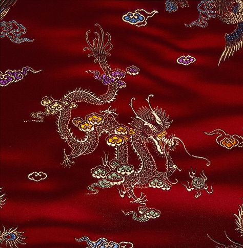 Chinese Dragon Embroidery, Dragon Embroidery, Chinese Aesthetic, Catty Noir, Fire Nation, Mia 3, Japanese Embroidery, Chinese Dragon, Aang