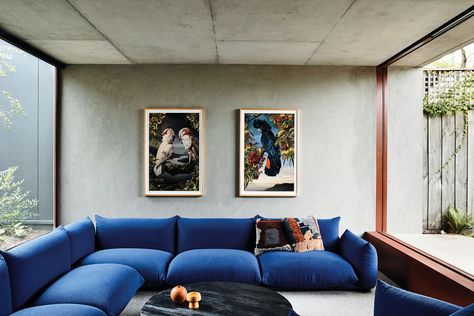 Eclectic yet unified: Oak House | ArchitectureAU Marenco Sofa, Midcentury Living Room, Midcentury Living, Eco Outdoor, Steel Frame Doors, Oak House, Victorian Terrace House, Suburban House, Interior Design Awards