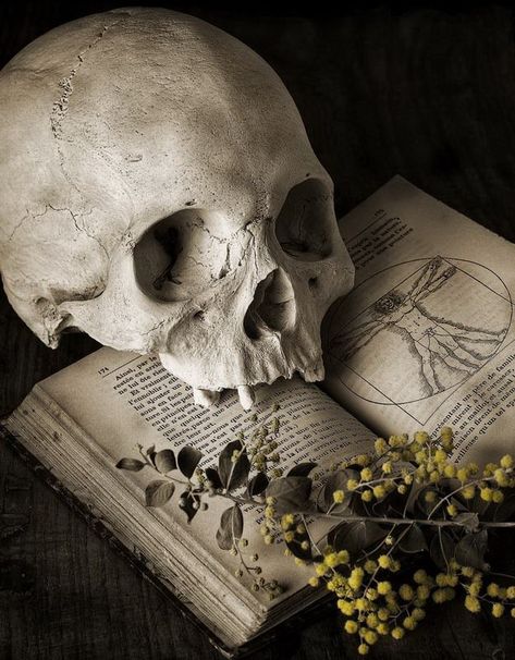 Necromancy… Skull Reference, Yennefer Of Vengerberg, Magic Aesthetic, Human Skull, Witch Aesthetic, A Skull, Skull And Bones, Memento Mori, Character Aesthetic