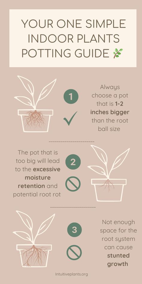 Choosing the right pot size is crucial for your indoor plants' health! Check out our infographic for easy steps to select the best home for your green friends. Love it? Pin and share to spread the wisdom! Pot For Plants Indoor, Plant Guide Indoor, Best Indoor Plant Soil Mixture, Indoor Plant Soil Mixture, Plant Beginner Guide, Best Soil For Monstera Plant, Facts About Plants, Plant Nanny, Indoor Plant Care Guide