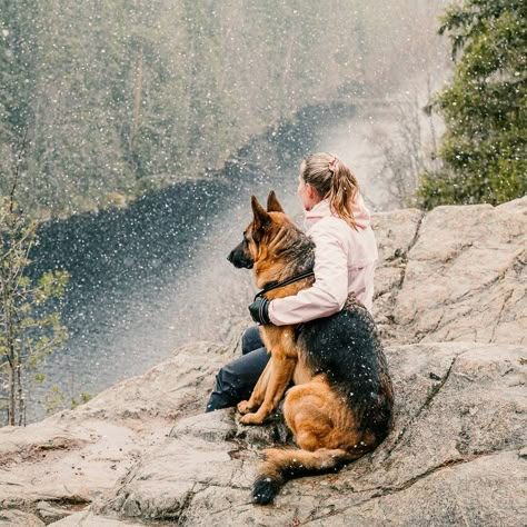 German Shepherd Photoshoot, Dystopian Apocalypse, German Shepherd Aesthetic, German Shepherd Photography, Cozy Critters, Hell Hounds, Dog Emotions, Dog Foto, German Shepherd Pictures