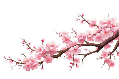 Sakura Background, Blossom Branch, Blog Banner, Flower Branch, Cherry Tree, Flower Plant, Download Free Images, Facebook Cover, Art Class